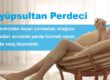 eyüpsultan perdeci