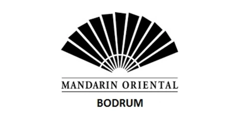 mandarin logo